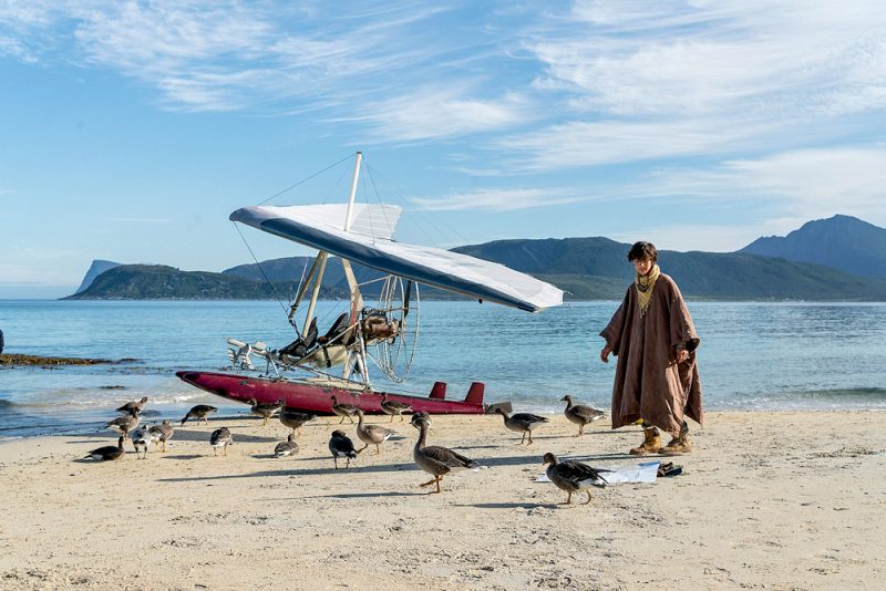 Der Junge und die Wildgänse