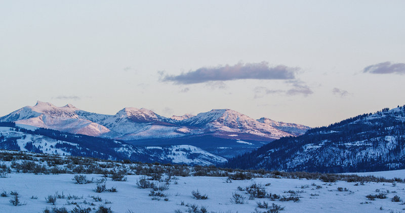 Gottes wilde Schöpfung: Erde