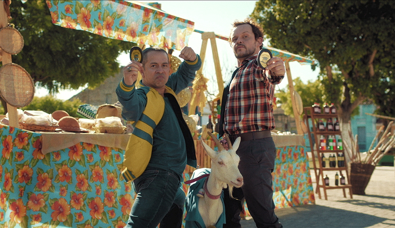 Zwei Bullen auf Ziegenjagd