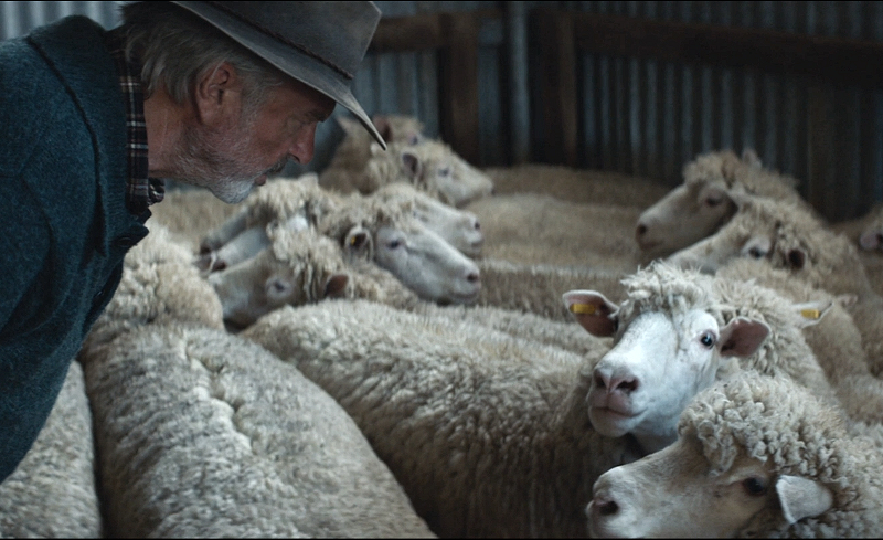 Besser wird’s nicht 01