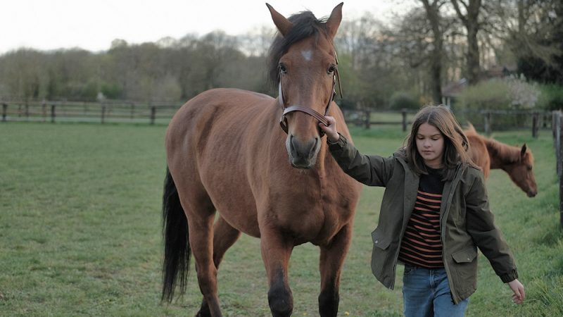 Zoe & Sturm Zoe & Sturm