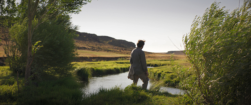 Auf trockenen Gräsern