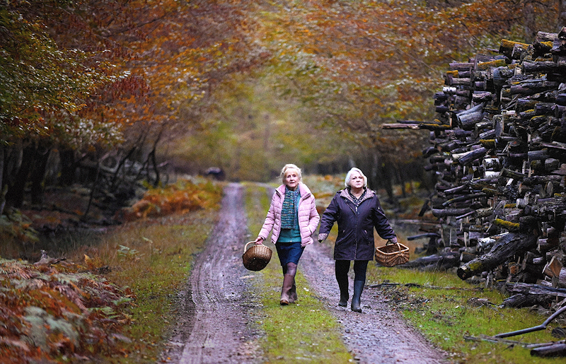 Wenn der Herbst naht